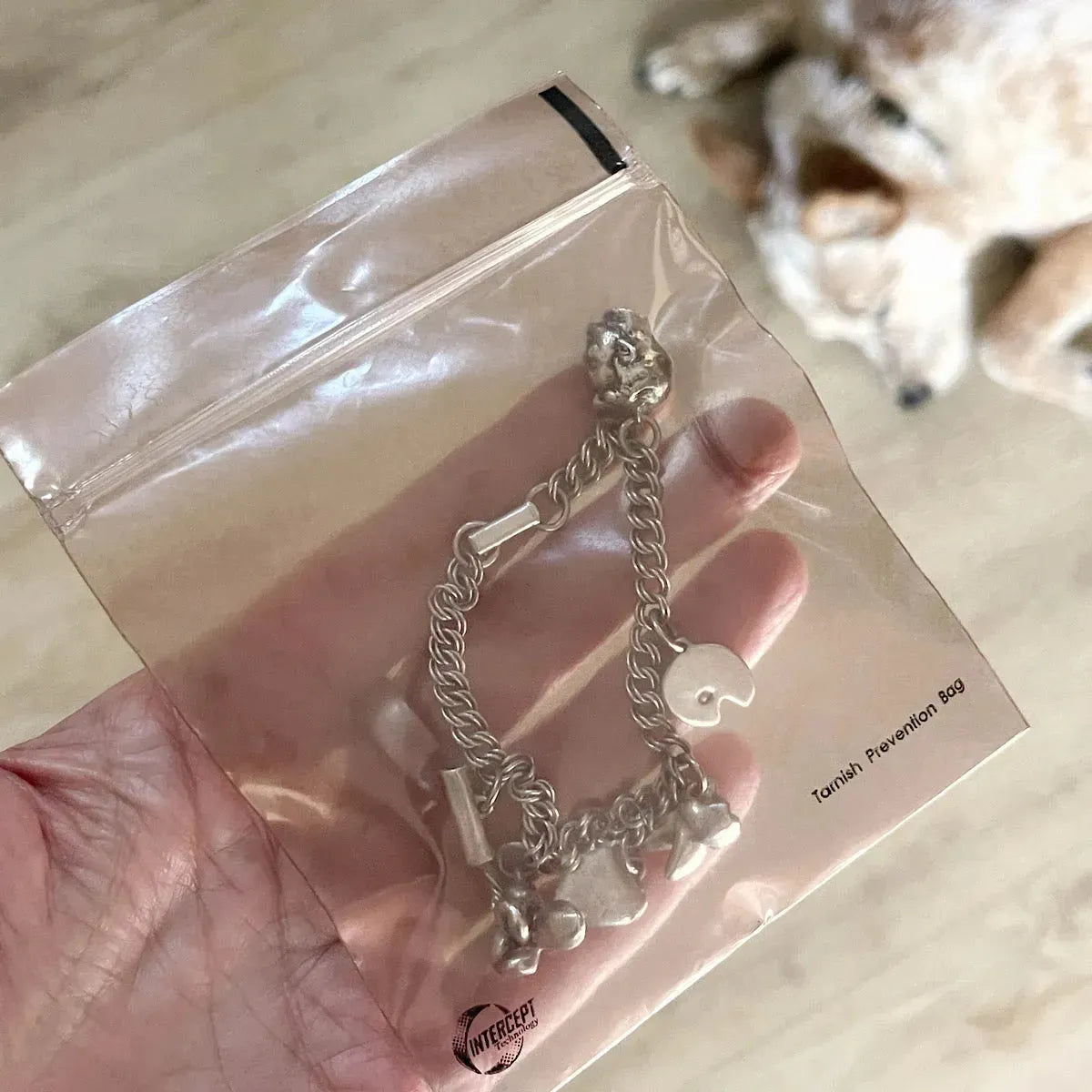 Intercept™ 4x4 Inch Anti-Tarnish Plastic Bags for Jewelry Storage - Silver, Coins & Collectibles Protection | Reusable & Airtight | Prevents Oxidation & Corrosion