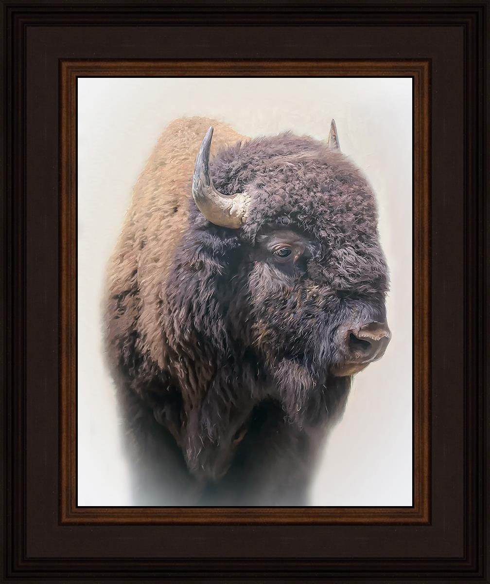 Bison By Matthew Grant | Premium Bison Meat & Jerky | High-Protein Snacks for Camping, Hiking & Outdoor Adventures