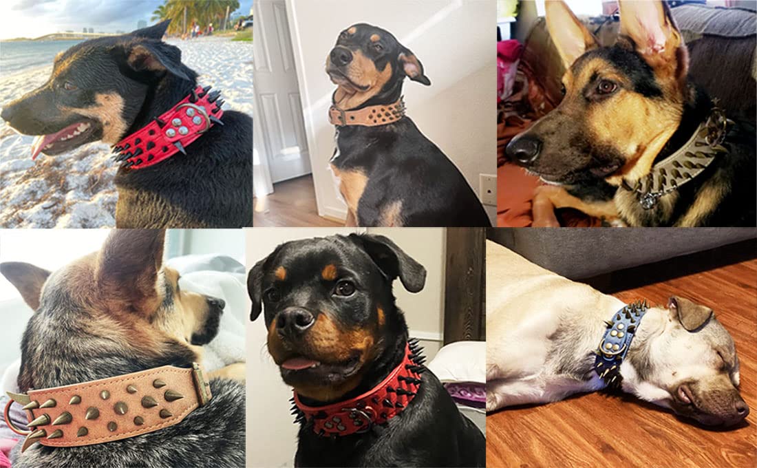 2 Inch Wide Spiked Dog Collar with Large Sharp Spikes - Anti-Bite Leather Collar for Pitbull, Doberman & Medium/Large Dogs (Small, Red) | Perfect for Protection, Training & Aggressive Dog Breeds