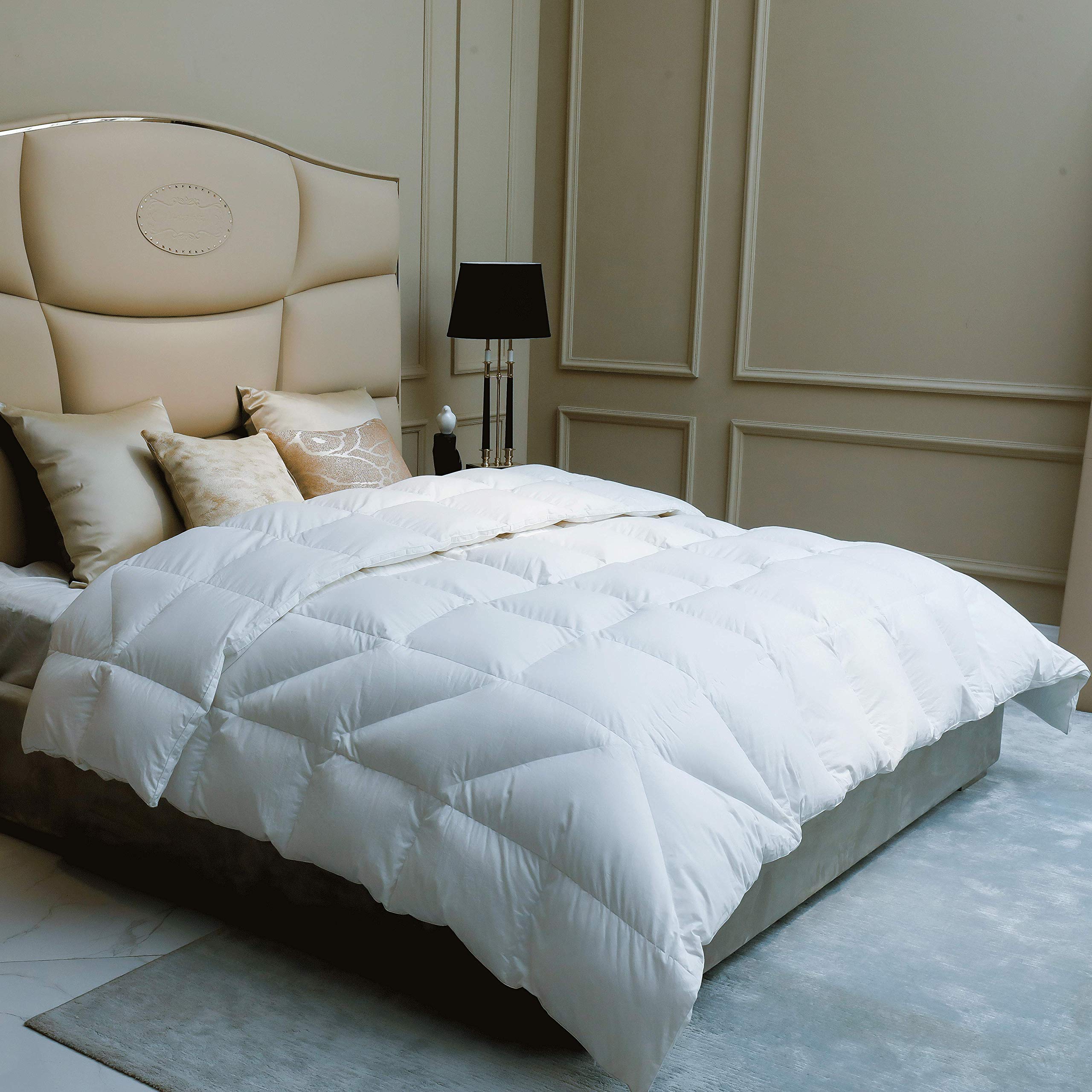 Premium Soft Fluffy Goose Down Comforter Twin Size - 750 Fill Power, Natural White Duvet Insert with Space Capsule Design | Lightweight & Breathable 100% Cotton Cover with 8 Tabs | Silent & Hypoallergenic for All Sleep Positions | Perfect for Cold Nights, Guest Rooms & Cozy Bedrooms