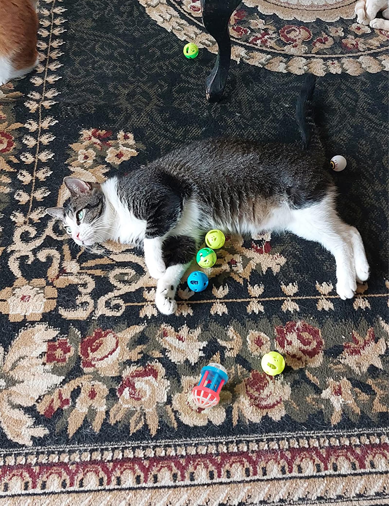 19 Piece Cat Toys Pack - 5 Bell Balls, 10 Plush Balls, 4 Spring Toys - Interactive Kitten Toys for Indoor Cats - Perfect for Playtime, Exercise & Bonding with Your Feline Friend