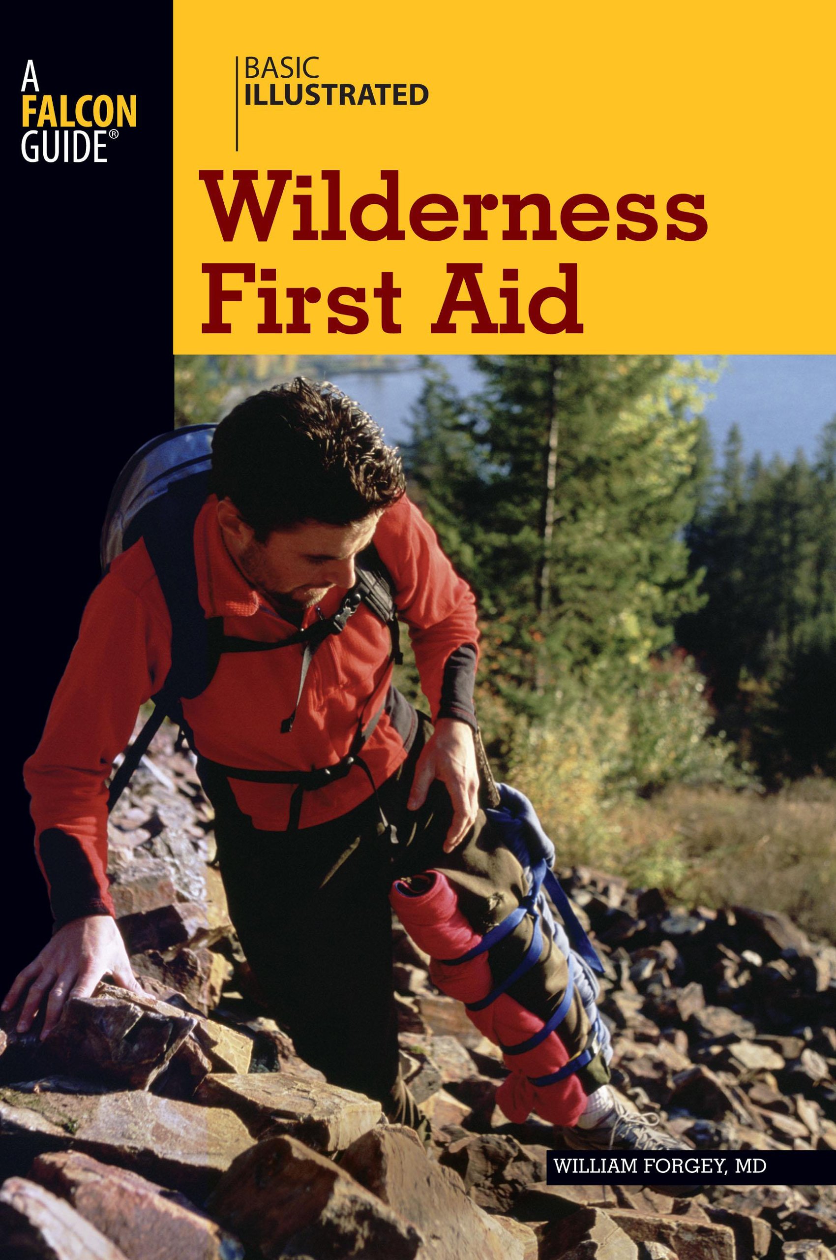Basic Illustrated Wilderness First Aid Guide - Essential Outdoor Survival Skills for Hiking, Camping & Emergency Preparedness | Basic Illustrated Series