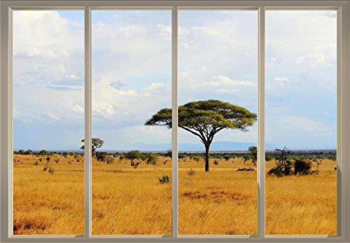 Trees and Shrubs