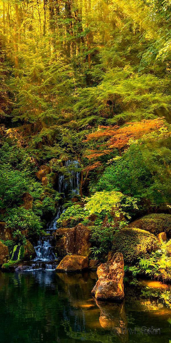 Secluded Pond By Greg Sargent - Handmade Landscape Oil Painting - Nature Wall Art Decor for Living Room, Bedroom & Office