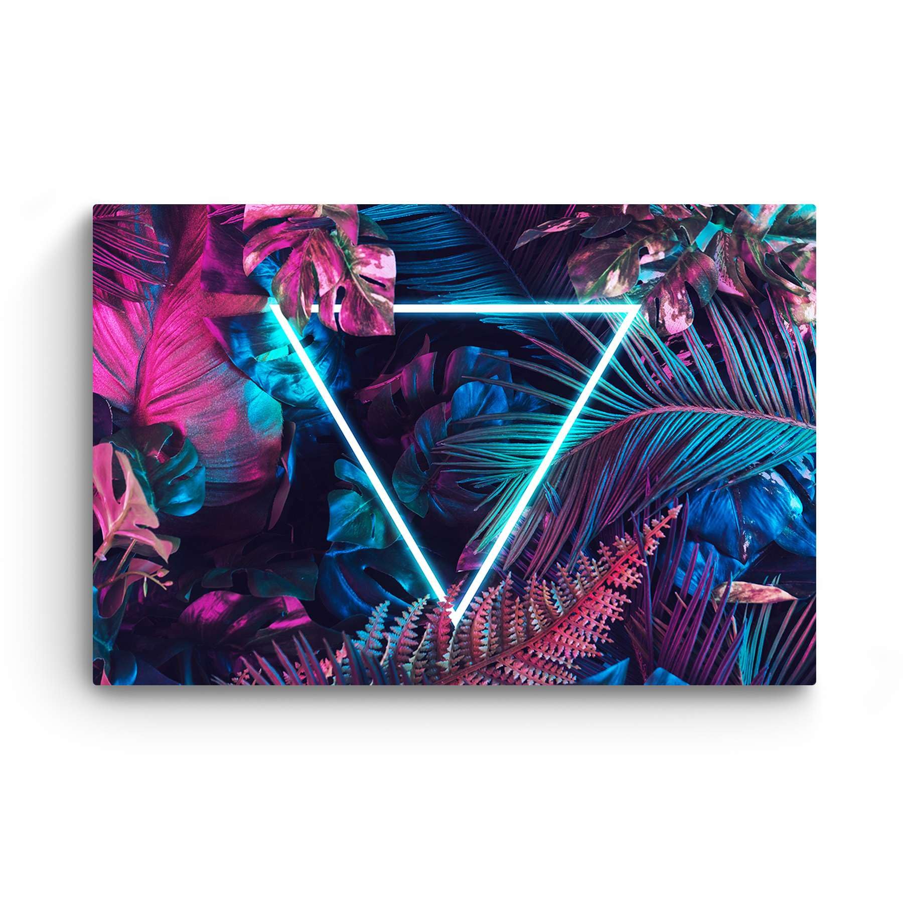 Startonight Modern Canvas Wall Art - Light Triangle & Plants Framed Painting, Large 32x48 Inch Stretched Print for Bedroom, Living Room & Office Decor | Ready to Hang Home Artwork for Contemporary Spaces