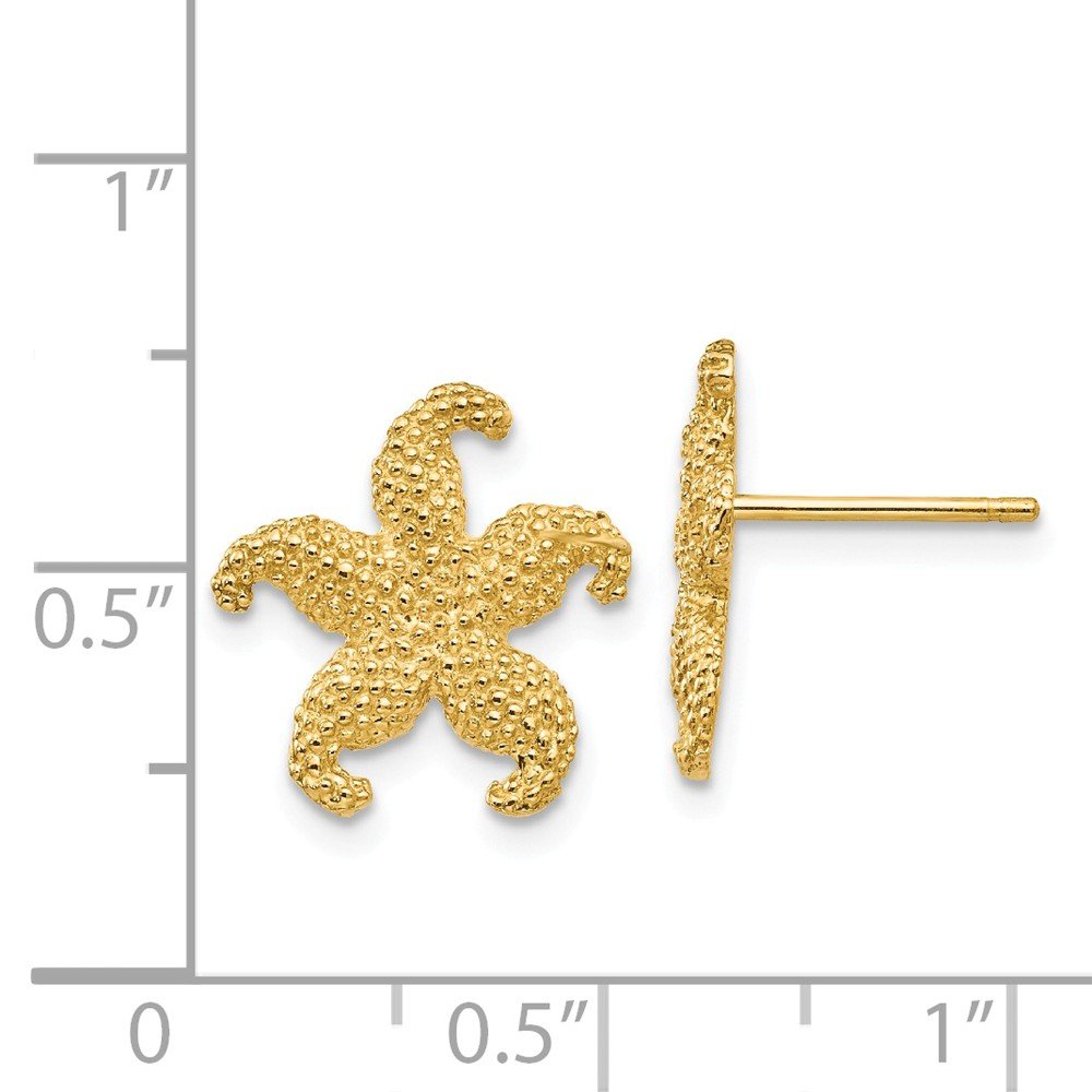 14K Yellow Gold Starfish Post Earrings for Women - Hypoallergenic Stud Earrings for Sensitive Ears - Perfect for Beach Vacations, Summer Outfits & Gift Giving