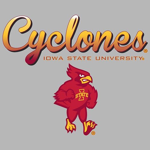 Script Cyclones Full Color Fade - Gray