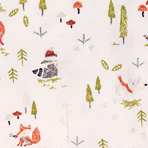 Winter Woods