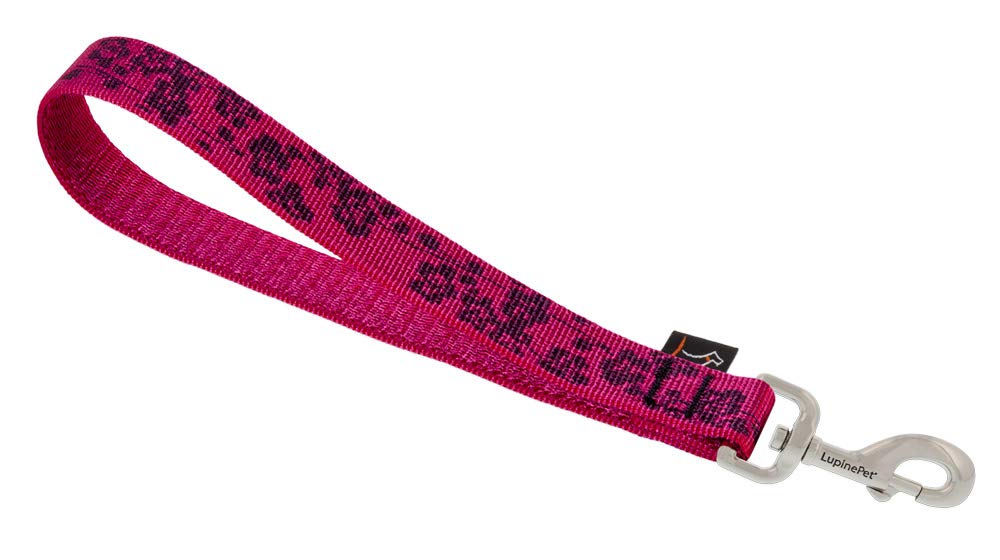 LupinePet Originals 1 Inch Plum Blossom 11 Inch Training Leash for Medium & Large Dogs - Durable Dog Walking Accessory for Outdoor Adventures & Obedience Training