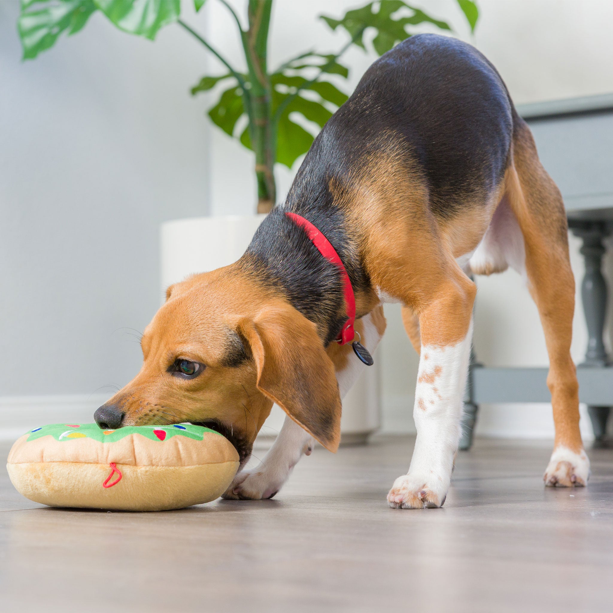 Huxley & Kent Lit Donut Dog Toy - Durable Chew Toy for Small & Medium Dogs - Perfect for Playtime, Training & Teething Relief