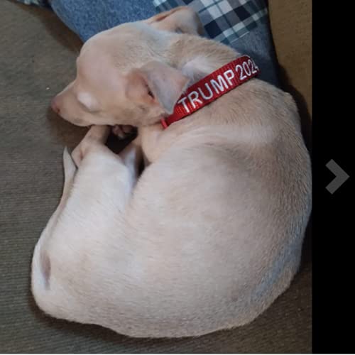 Trump 2024 Dog Collar and Leash Set - Handmade Adjustable Pet Accessories with 30 Custom Embroidery Options (S/M/L/XL) - Perfect for Christmas Gifts & Political Pet Lovers - Ideal for Walks, Campaign Events & Patriotic Pet Photos (Small 3/4