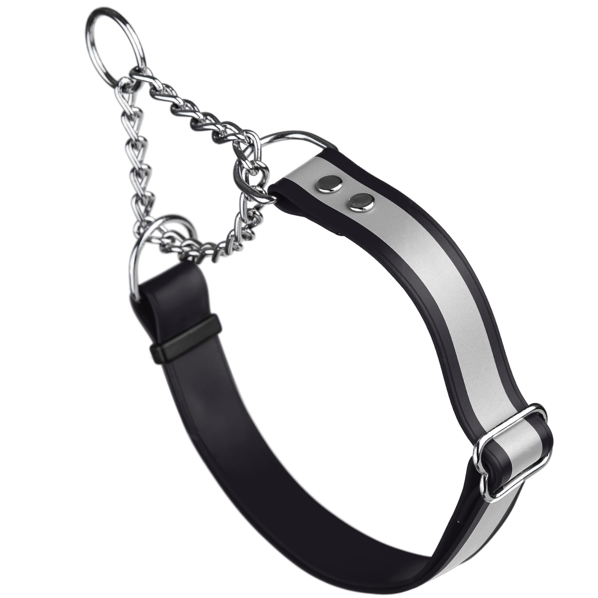 Premium Waterproof BioThane Martingale Dog Collar – Adjustable Reflective Safety Collar for Training & Walks – Lightweight & Comfortable – Easy to Clean – Ideal for Outdoor Adventures, Hiking & Nighttime Visibility