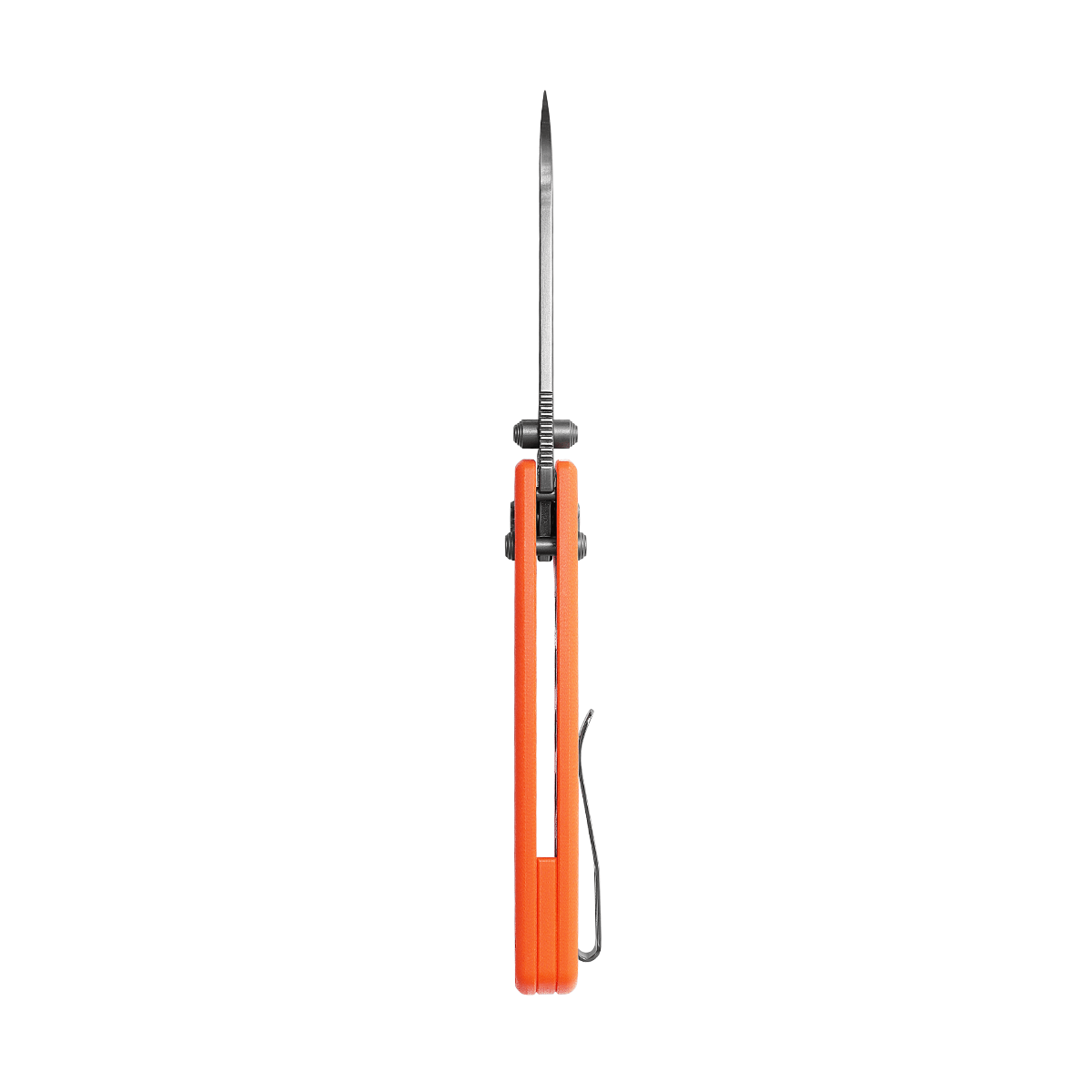Raccoon® Crossbar Lock Folding Knife - 3.25