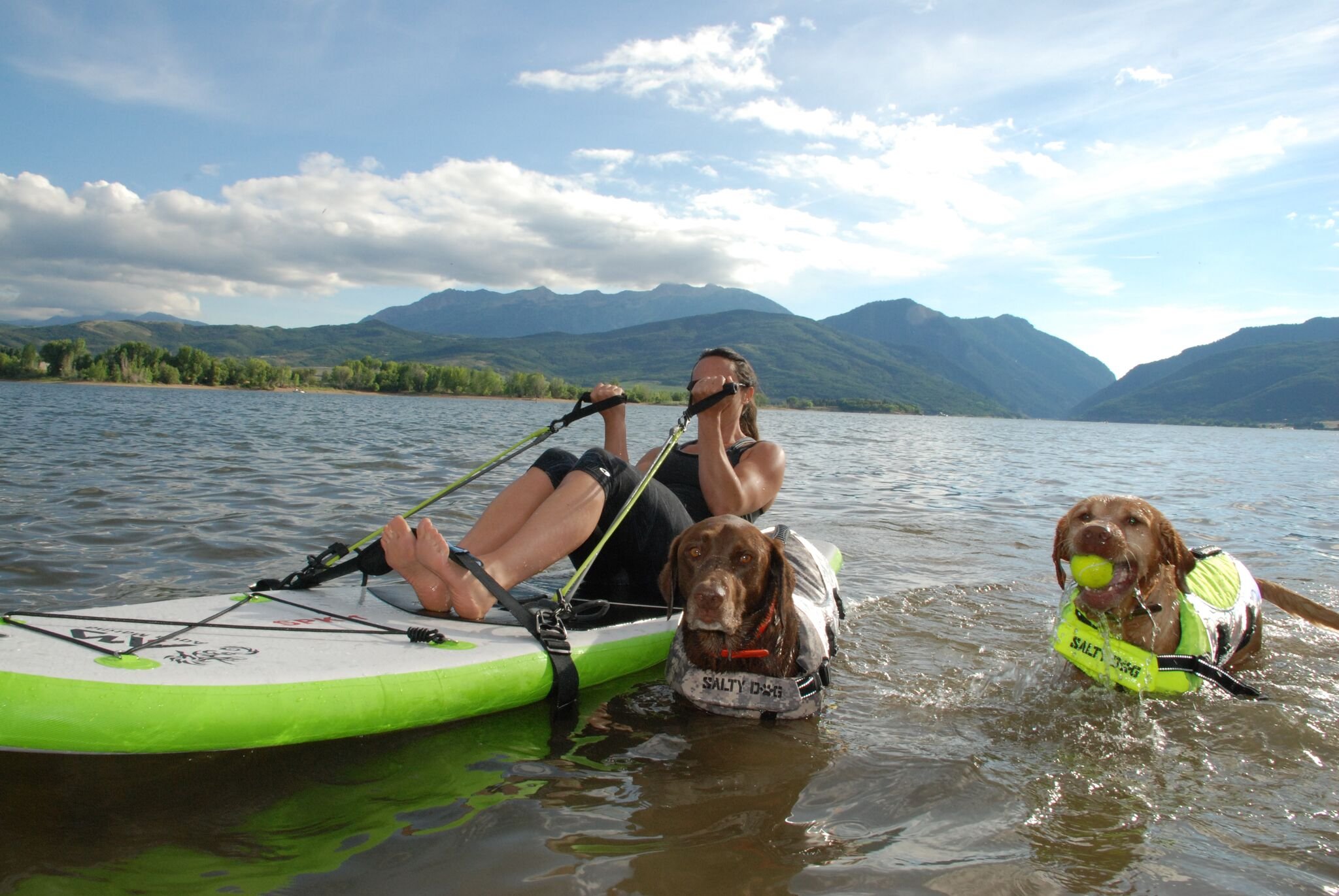 Salty Dog Small Yellow Pet Life Vest - Durable & Safe Dog Life Jacket for Swimming, Boating & Water Activities