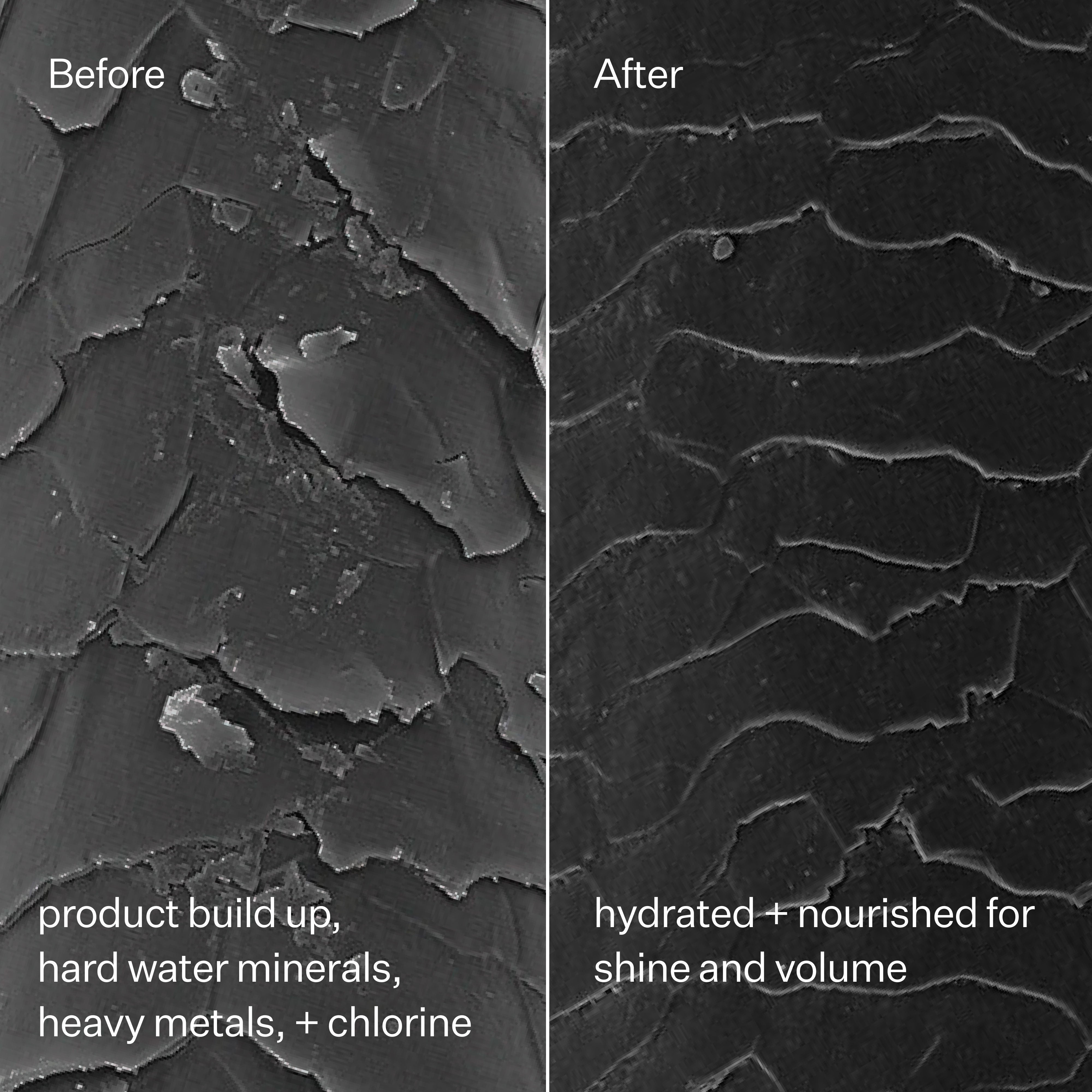 Clarifying Hard Water Shampoo for Scalp & Hair Buildup Removal - Deep Cleansing & Detox for Healthy Hair - Perfect for Swimmers, Gym Enthusiasts & Hard Water Areas