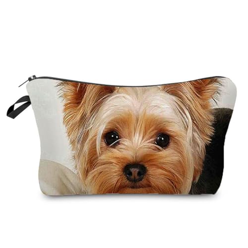 Yorkshire Terrier 01