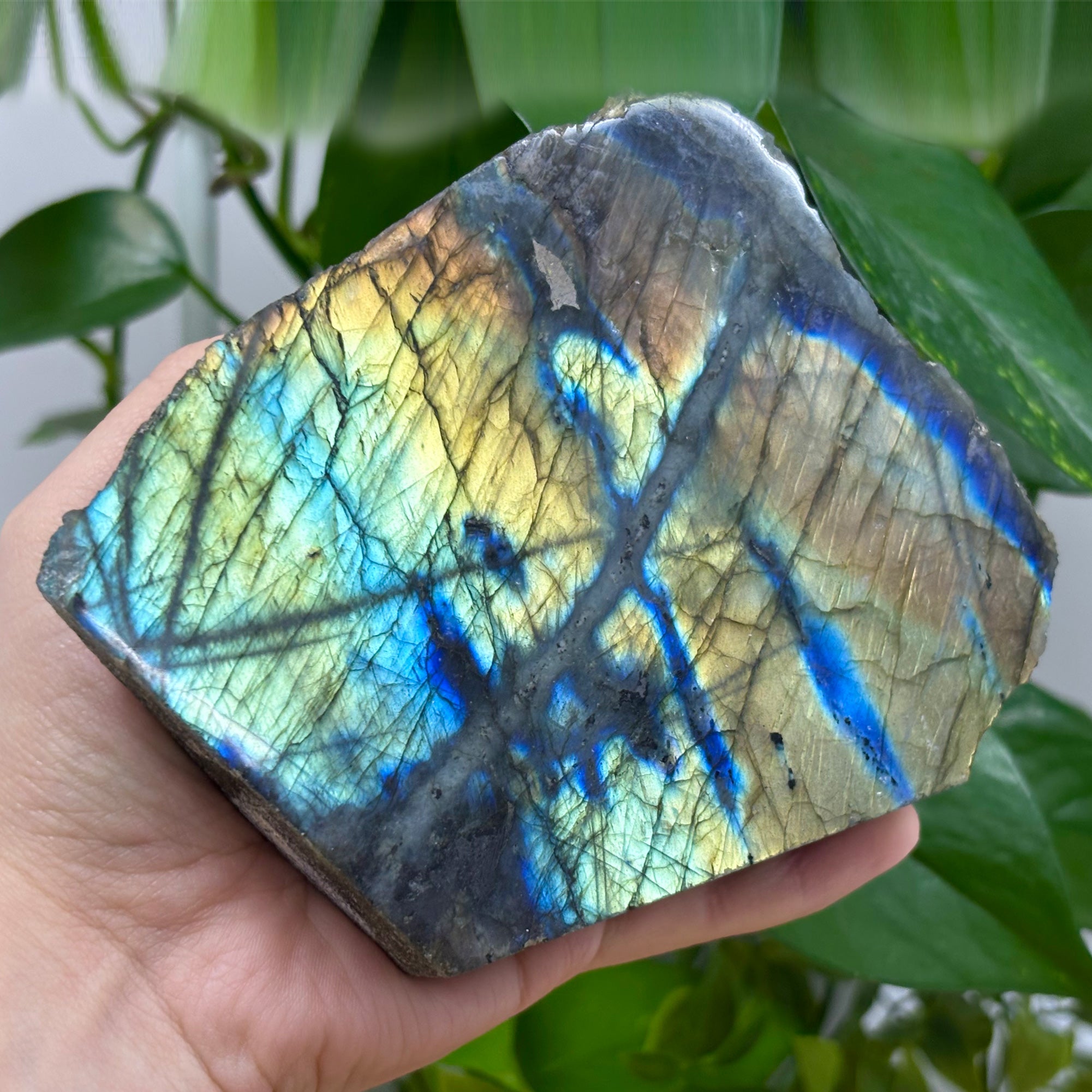 Natural Labradorite Freeform Rock - Standing Healing Crystal for Energy, Meditation & Chakra Balancing | Home Decor, Yoga Studio & Spiritual Gifts RPS437