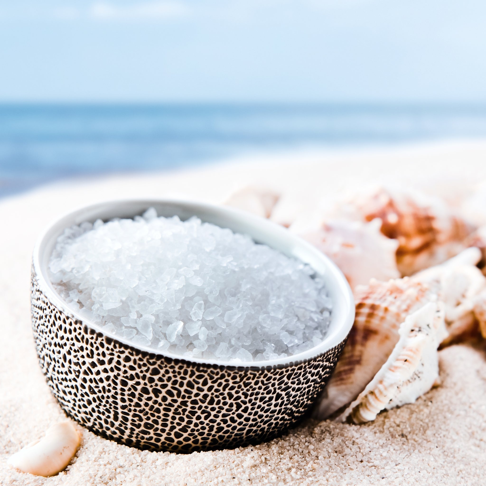 Seas & Greetings Fragrance Oil - Premium Aromatherapy Essential Oil for Home Diffuser, Spa, Massage & Relaxation - Perfect for Holidays, Gifts & Stress Relief