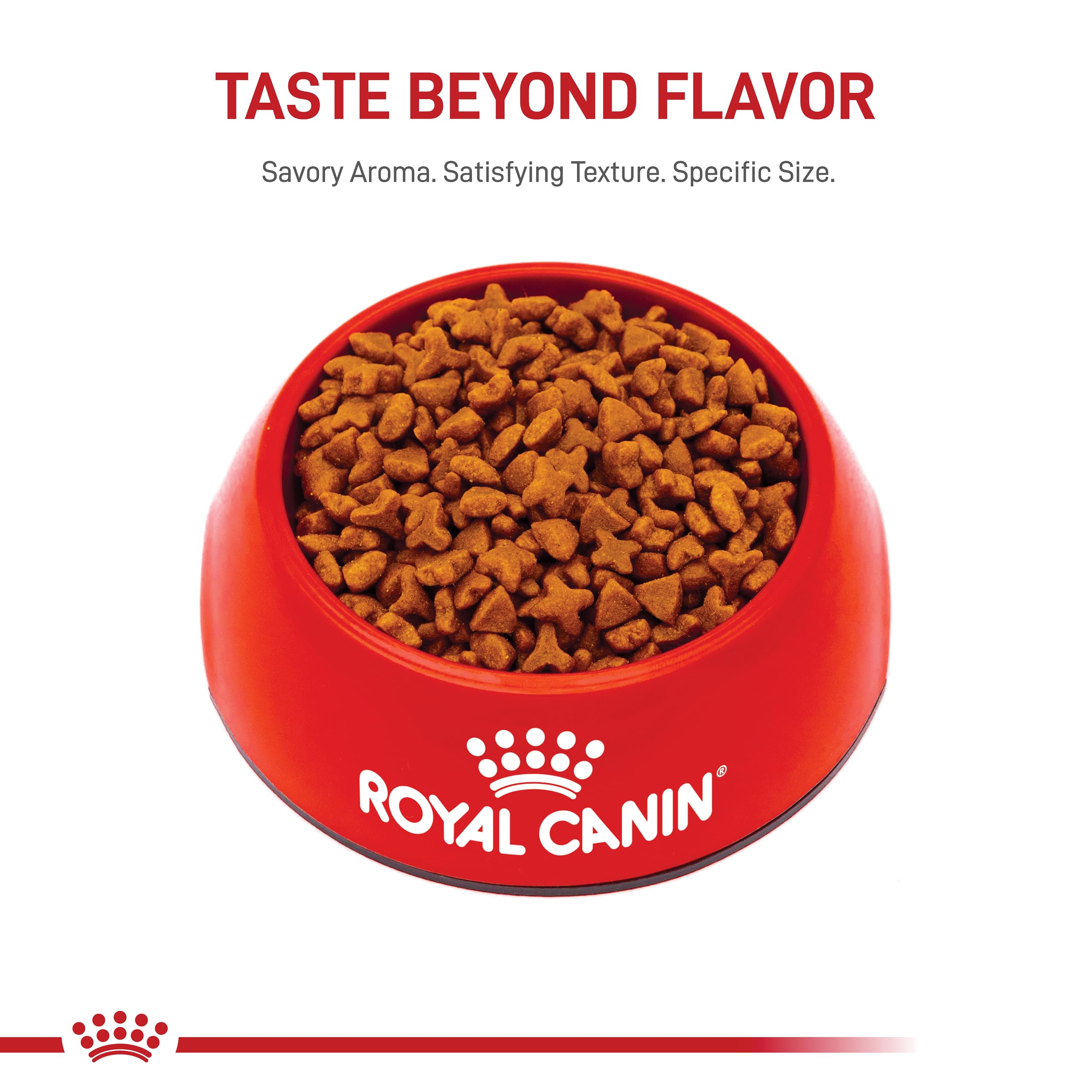 Royal Canin Sensitive Digestion Dry Cat Food for Adult Cats - 3.5 lb Bag - Supports Digestive Health & Easy Digestion - Perfect for Indoor Cats with Sensitive Stomachs