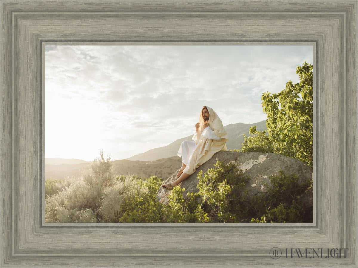 His Only Son by Erica Claflin - Christian Fiction Novel for Book Clubs & Bible Study Groups