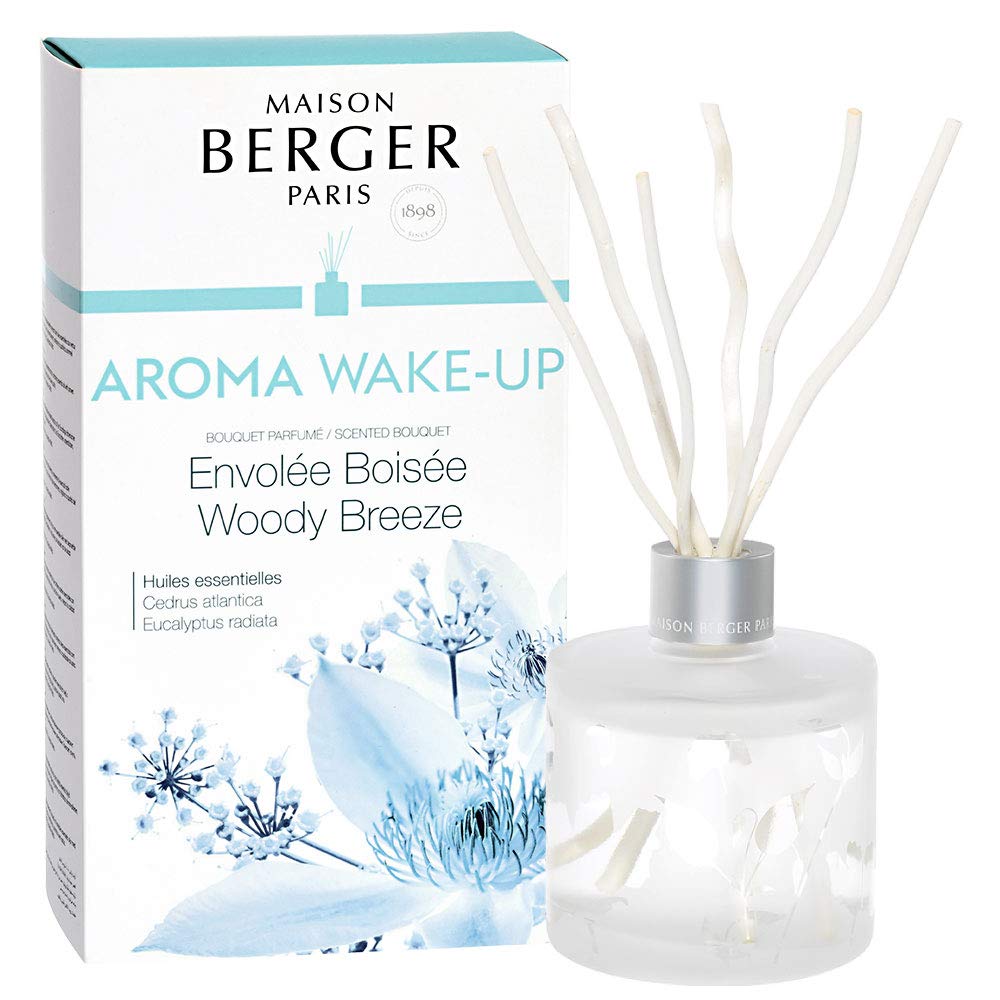 MAISON BERGER Reed Diffuser Bouquet - Aroma Collection - 6 Bamboo Sticks - 180ml Premium Fragrance Oil - Made in France (Aroma Wake-up) - Home & Office Scent Diffuser for Relaxation & Aromatherapy