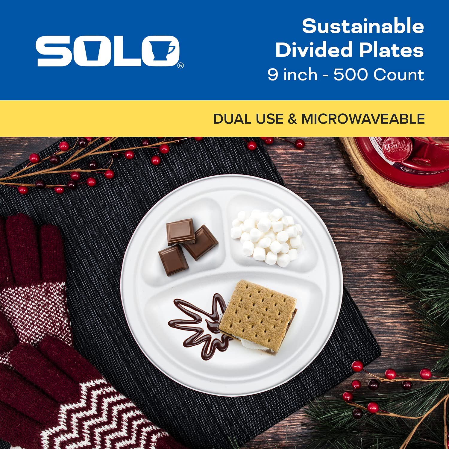 SOLO Bare Eco-Friendly 9-Inch Plant-Based Sugarcane Fiber Round Divided Plates (4 Packs of 125, 500 Plates Total) - Biodegradable Disposable Dinnerware for Parties, Picnics & Eco-Conscious Events
