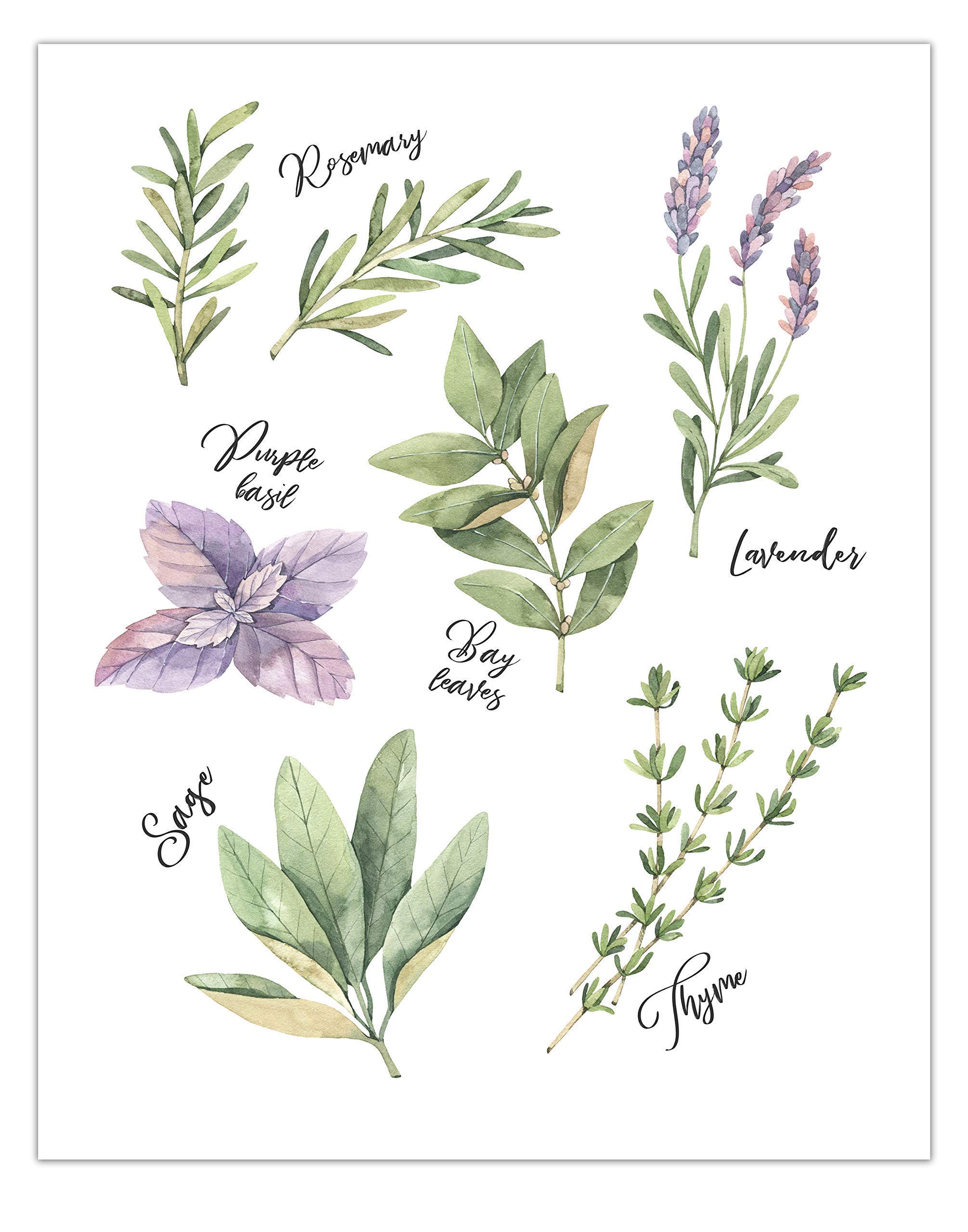 Botanical Kitchen Wall Art - Rustic Farmhouse Decor for Home & Kitchen