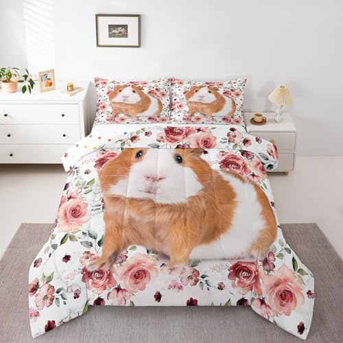 Guinea Pig 01
