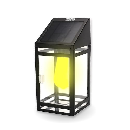Edison Bulb