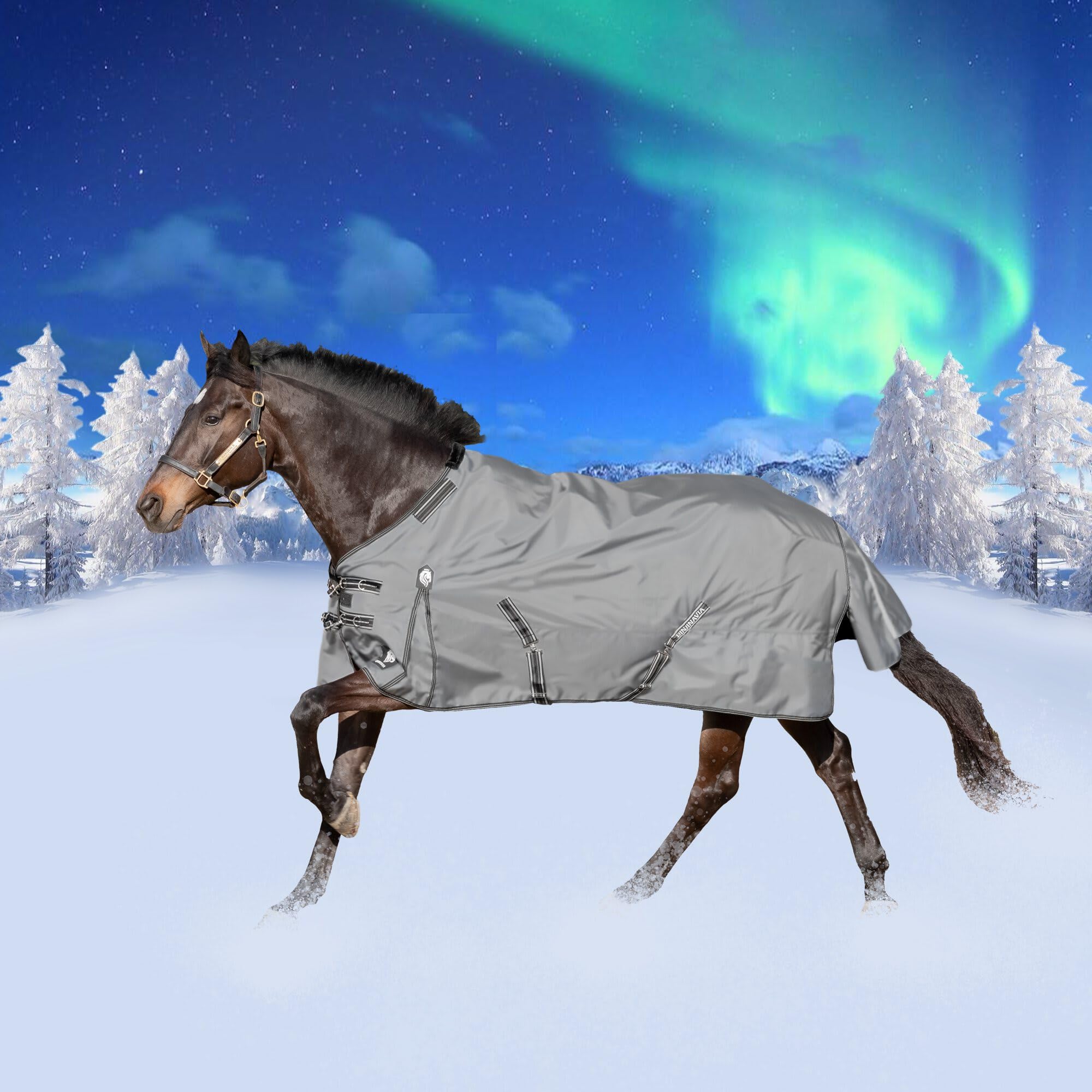 Equinavia Arktis Regular Neck Turnout Sheet - Waterproof Horse Blanket for Cold Weather - Carbon Gray - 81 Inches - Ideal for Winter Riding and Stable Use