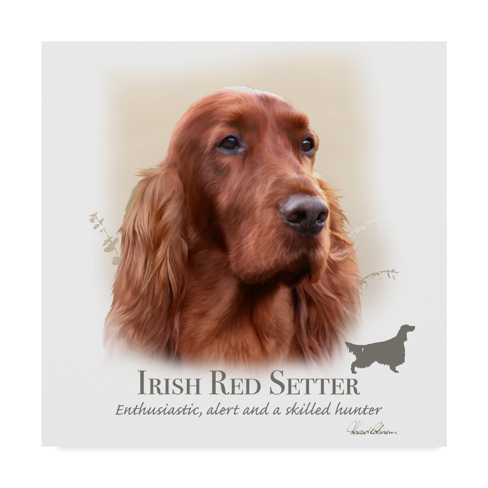 Howard Robinson Irish Red Setter Dog Art Print - 35x35 Inch Canvas Wall Decor for Living Room, Bedroom & Office - Perfect Gift for Dog Lovers & Home Decor Enthusiasts