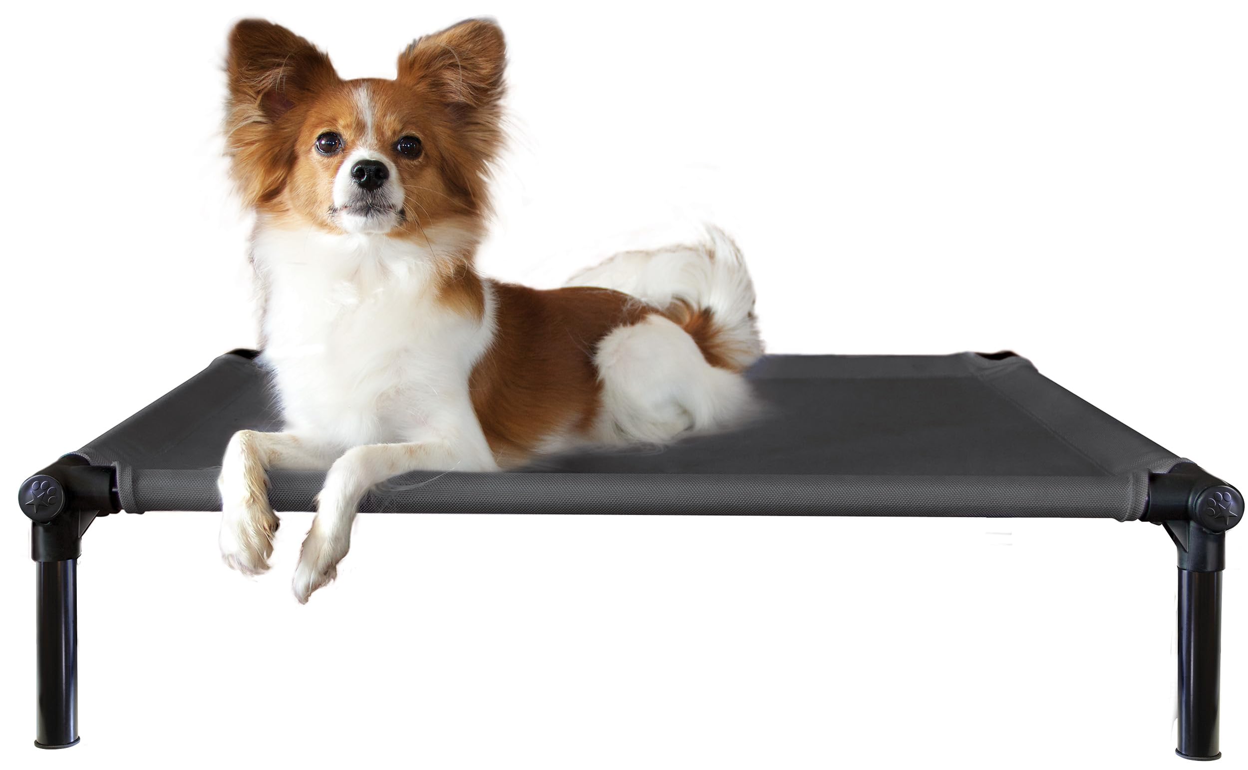 Premium Starmark Dog Zone Bed - Medium Size, Charcoal Gray - Comfortable & Durable Pet Bed for Dogs - Perfect for Crates, Kennels & Home Use