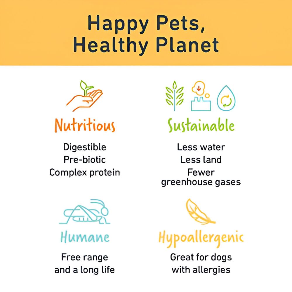 Jiminy's Crunchy Peanut Butter & Blueberry Dog Treats - Hypoallergenic, Prebiotic, Tummy Friendly, Low Calorie Cricket Protein Snacks for Dogs - Sustainable, All-Natural, Grain-Free - 5oz (Pack of 1) - Perfect for Training, Rewards & Sensitive Stomachs