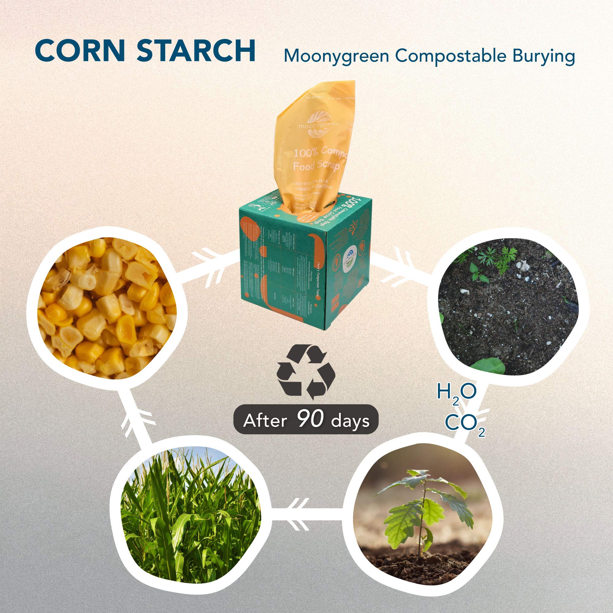 Eco-Friendly Compostable Trash Bags 13 Gallon & 2.6 Gallon - 50 Count (13GL) + 100 Count (2.6GL) - Extra Thick BPI ASTM D6400 Certified Food Waste Bags for Kitchen, Yard & Compost Bin - US & Europe OK Certified Biodegradable Garbage Bags