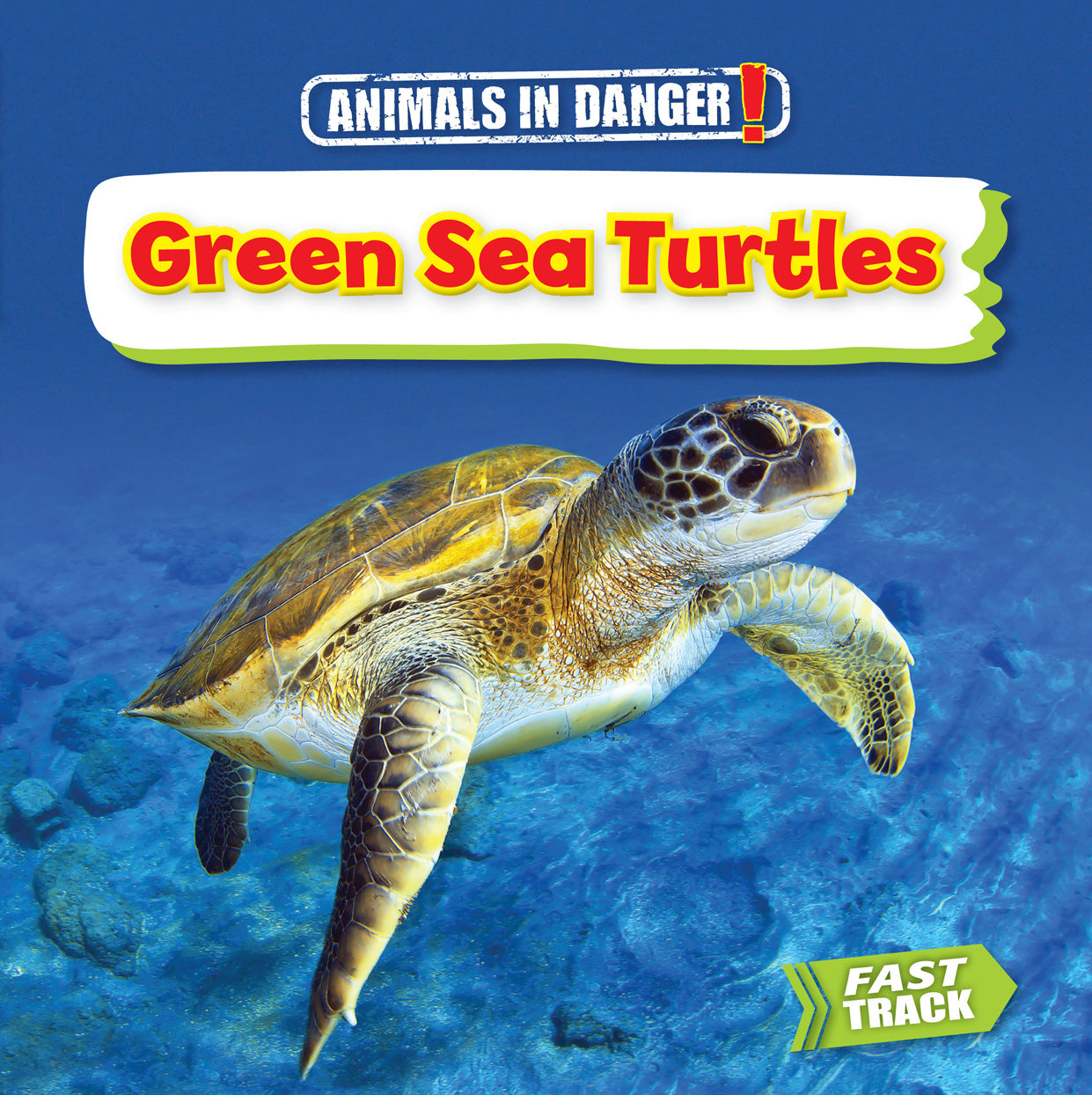 Green Sea Turtles - Eco-Friendly Marine Animal Decor for Home & Office | Perfect for Ocean Theme Rooms, Aquarium Displays & Nature Lovers