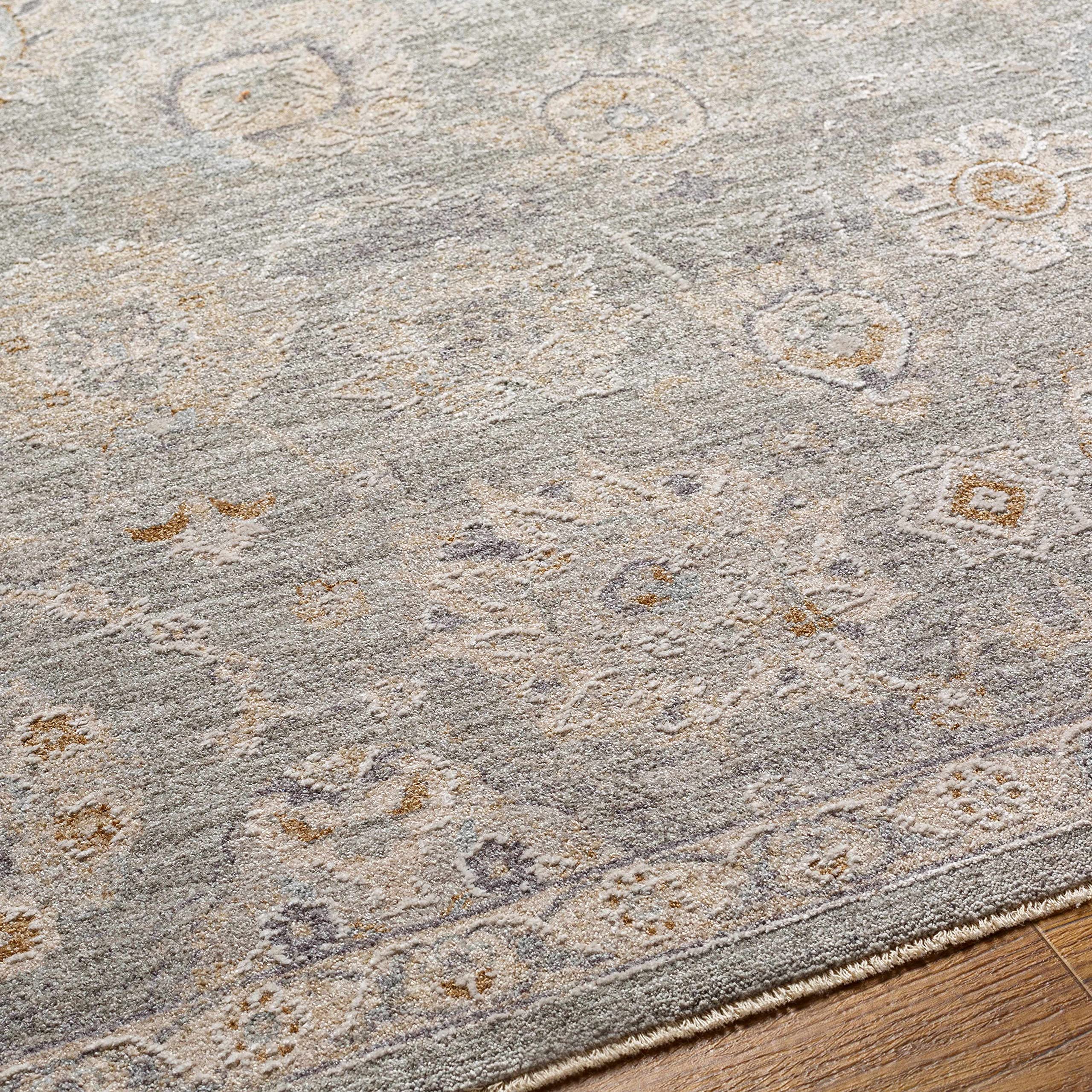 Hauteloom Wurtulla Modern Area Rug for Living Room and Bedroom - Soft Non-Slip 9' x 12'2