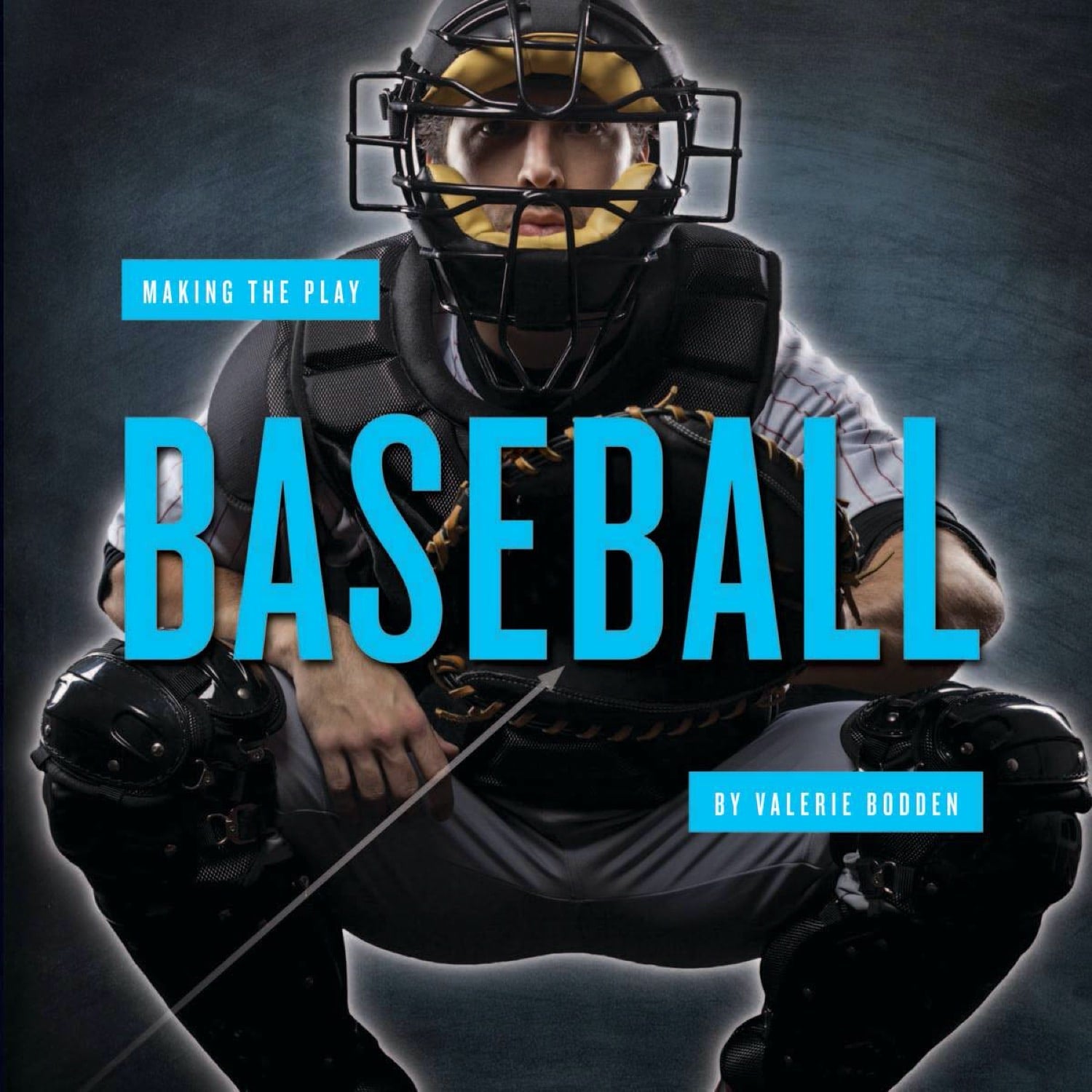 Baseball Book 9781608186532 - Perfect for Sports Fans, Coaches, and Players | Great for Training, Gifts, and Baseball Enthusiasts