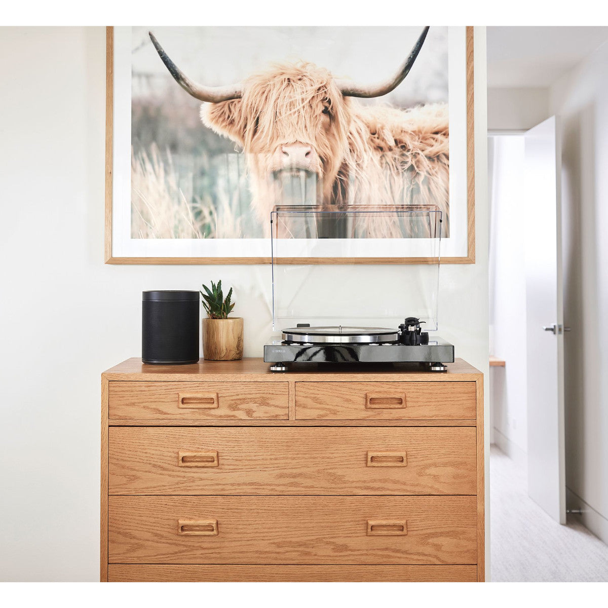 Yamaha MusicCast Vinyl 500 TTN 503 Wireless Turntable - High-Fidelity Vinyl Record Player with Bluetooth & Wi-Fi Connectivity - Perfect for Home Audio Systems & Vinyl Enthusiasts