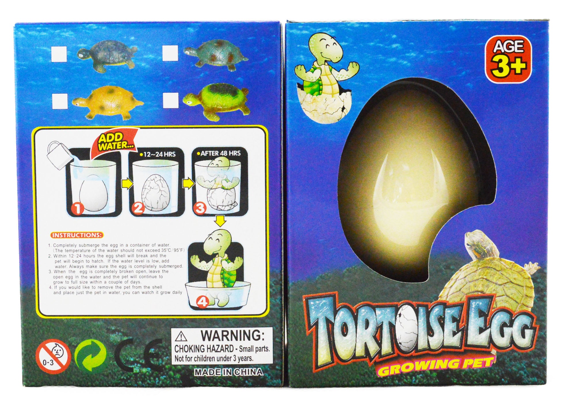Hatching Pet Tortoise Egg - 5.5cm Realistic Growing Toy for Kids Educational Science Project & Reptile Lover Gift (Perfect for Classroom Activities, Birthday Presents & STEM Learning)