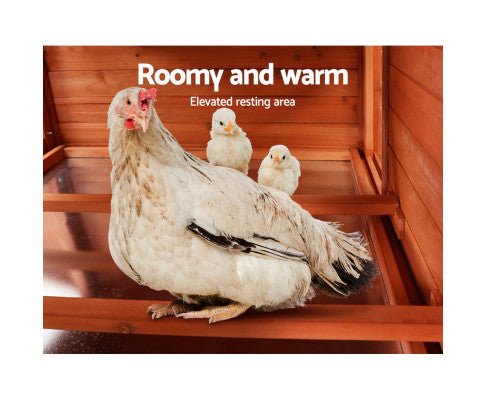 XL Chicken Rabbit Hutch with Large Run - Spacious Outdoor Cage for Pets, Rabbits, Chickens, and Small Animals - Perfect for Backyard, Farm, and Garden Use