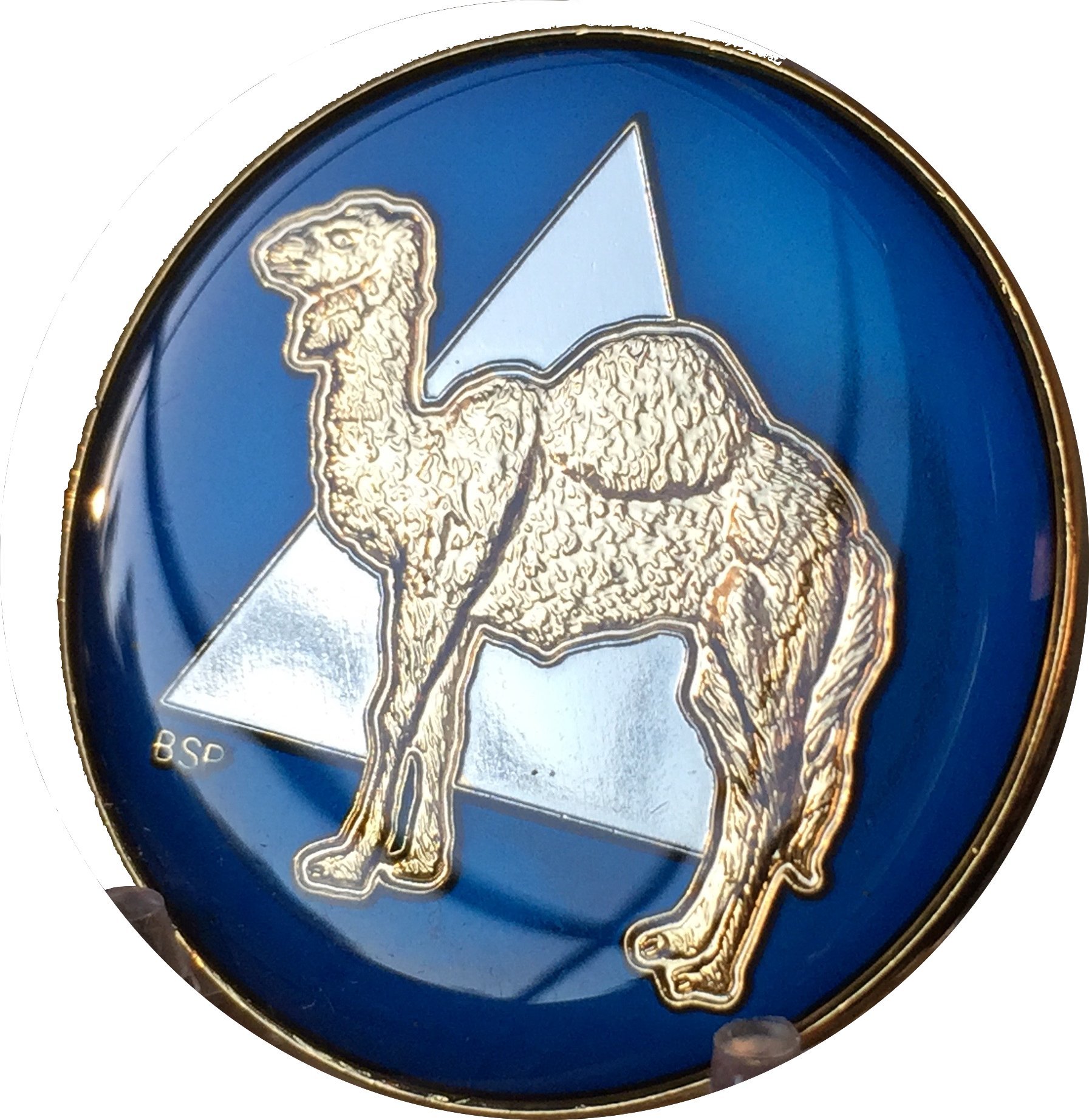 Camel Midnight Blue Tri Plate AA Medallion Sobriety Chip - Gold & Nickel Plated for Recovery Support & 12-Step Programs - Perfect for AA Meetings, Sobriety Milestones & Inspirational Gifts