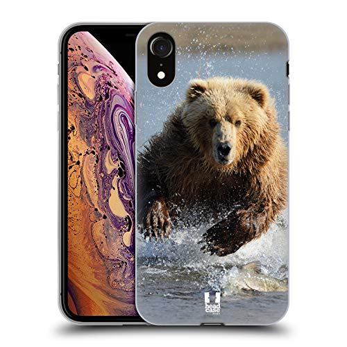 Grizzly Bear Jumping