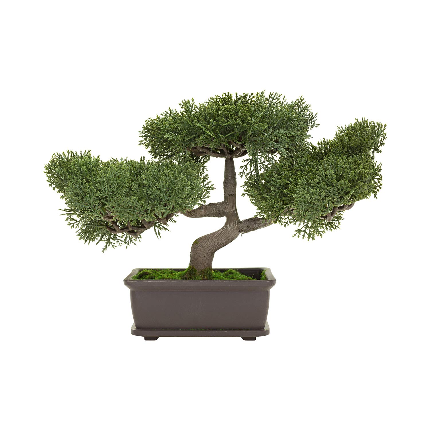C CRYSTAL LEMON Bonsai Pots Set of 3 - Small Plastic Planters with Drainage Holes & Humidity Trays for Indoor Bonsai Trees - Includes Built-in Mesh & Irrigation System | Perfect for Home Decor, Office Plants & Zen Gardening