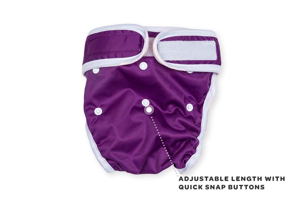 Washable Wonders™ Female Dog Diapers - No Tail Hole, Premium Reusable & Absorbent Pet Panties for Small Dogs (Small, Green) - Perfect for Incontinence, Heat Cycles & Travel