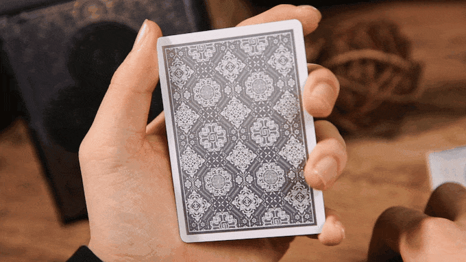 Premium Silk Black Boxset Ark Playing Cards - Luxury Deck for Poker, Magic Tricks & Collectors | Perfect for Game Nights, Gifts & Cardistry