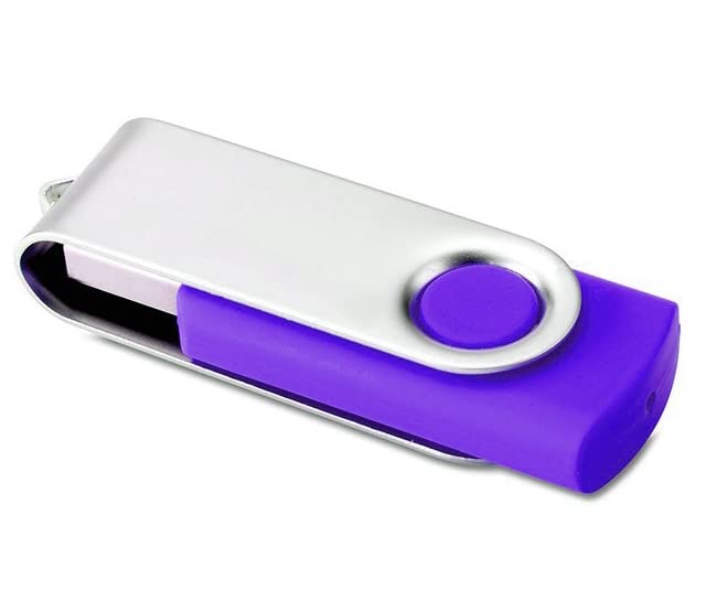 Vixelle 10 Pack 4GB High-Speed USB 2.0 Flash Drives - 360° Rotating Metal USB Thumb Drives with Keychain Loop - Bulk USB Memory Sticks for PC, Mac, TV, Car Audio - Purple - Perfect for Data Storage, File Transfer, School & Office Use