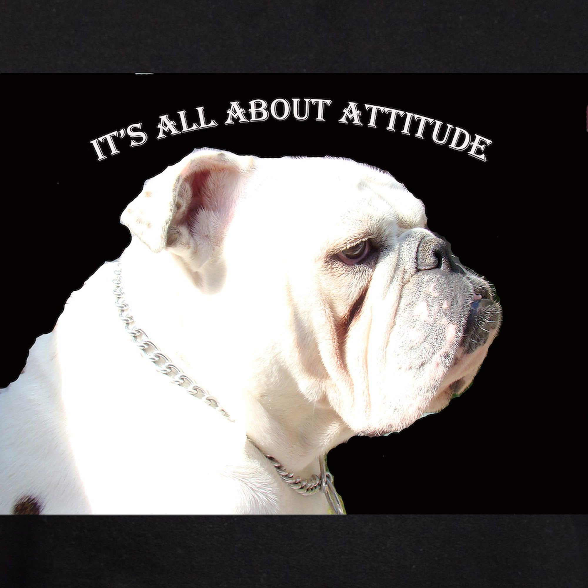 Bulldog Hoodie for Men - Dark Regular Fit Pullover Sweatshirt | Comfortable & Stylish Casual Wear for Everyday Use, Gym, and Outdoor Activities