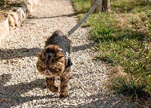 Premium Black Denim Cat Jacket & Harness for Adult Cats - Escape-Proof Walking Vest for Outdoor Adventures and Vet Visits