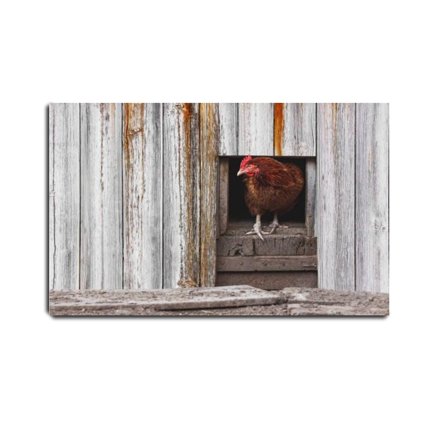 VIUBGCPS Framed Canvas Wall Art - Peeping Chicken from Coop, Rural Poultry Farm Painting, Ready to Hang Home Decor (20x32 Inch) - Perfect for Farmhouse, Country Kitchen & Agricultural Themed Room Decor