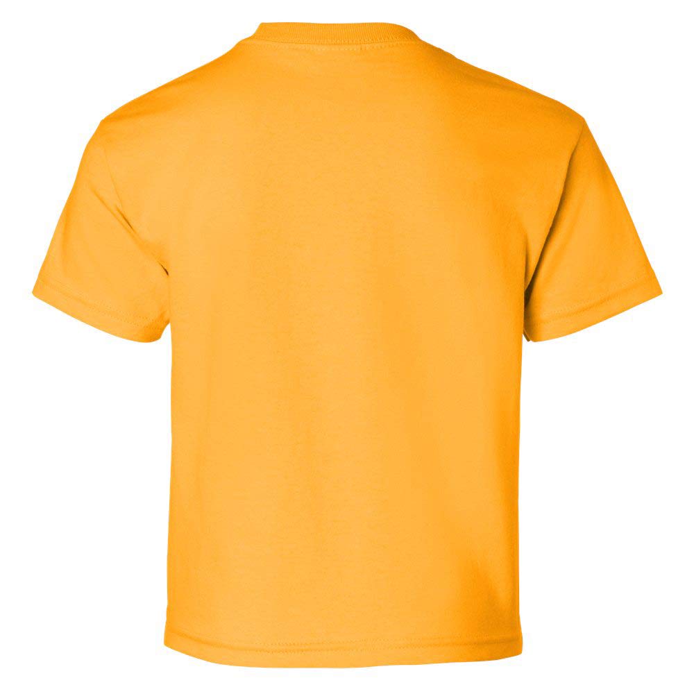 CornBorn Kids University of Iowa Hawkeyes Boys T-Shirts - Comfortable Cotton Youth Tees for School Spirit & Game Day Outfits